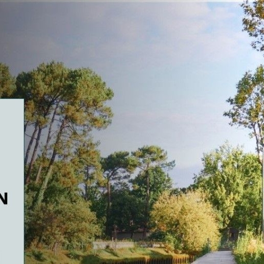 DULAU IMMOBILIER : Commerces | CAPBRETON (40130) | 50.00m2 | 280 000 € 